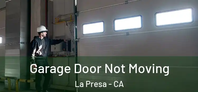  Garage Door Not Moving La Presa - CA