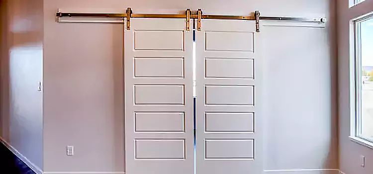 Glass Barn Door with Installation Hardware Kit La Presa