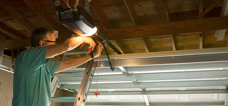 Garage Door Opener Sales and Installation La Presa