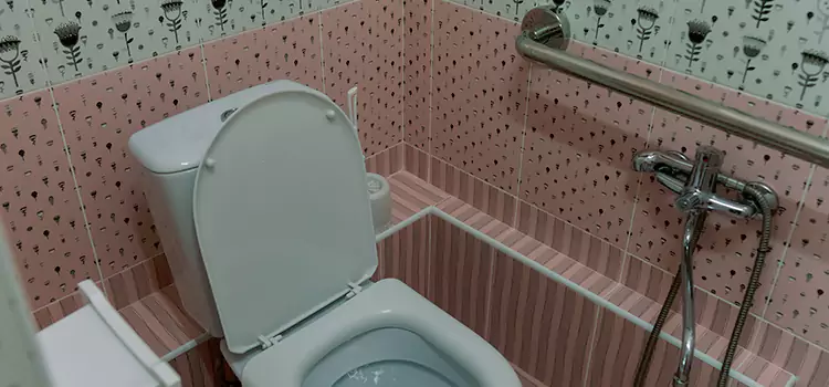 Meeting Diverse Needs With Accessible Restroom Solutions in La Presa, CA
