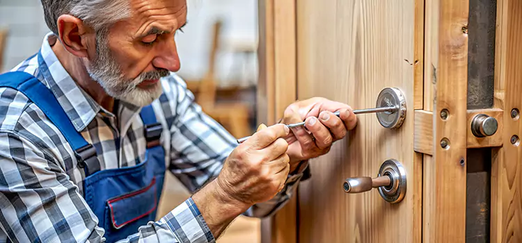 Mortise Replacement Lock La Presa