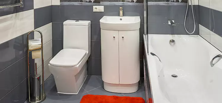 Hansgrohe Shaving Mirror La Presa