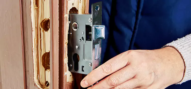 Garage Door Lock Replacement La Presa